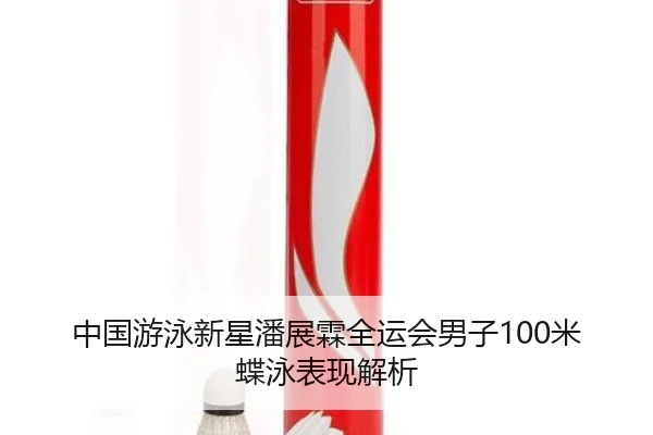 中国游泳新星潘展霖全运会男子100米蝶泳表现解析